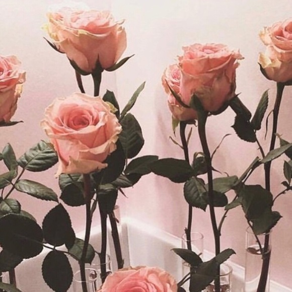 Meet your Posher, Jennifer - Picture 1 of 1